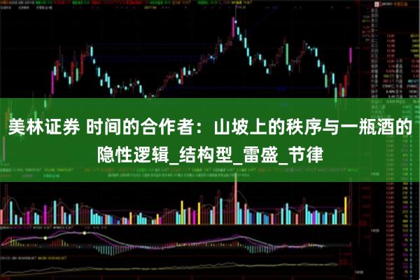 美林证券 时间的合作者：山坡上的秩序与一瓶酒的隐性逻辑_结构型_雷盛_节律