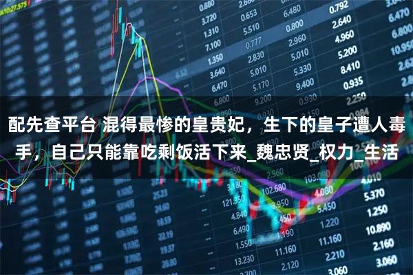 配先查平台 混得最惨的皇贵妃，生下的皇子遭人毒手，自己只能靠吃剩饭活下来_魏忠贤_权力_生活