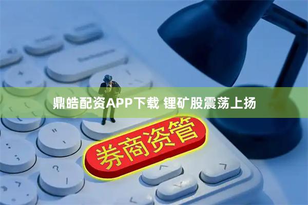 鼎皓配资APP下载 锂矿股震荡上扬